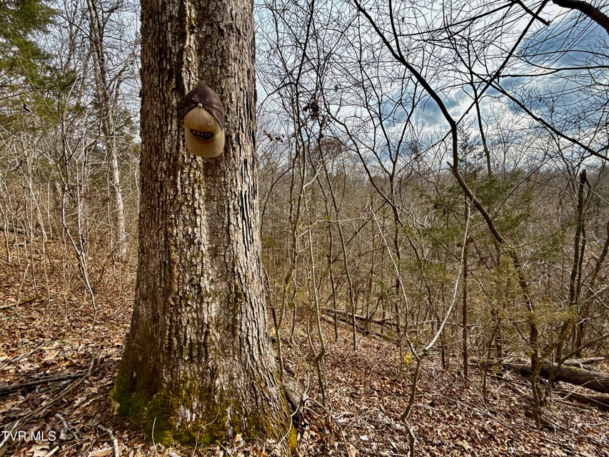 Photo #10: 25/Ac Tbd Horton Highway