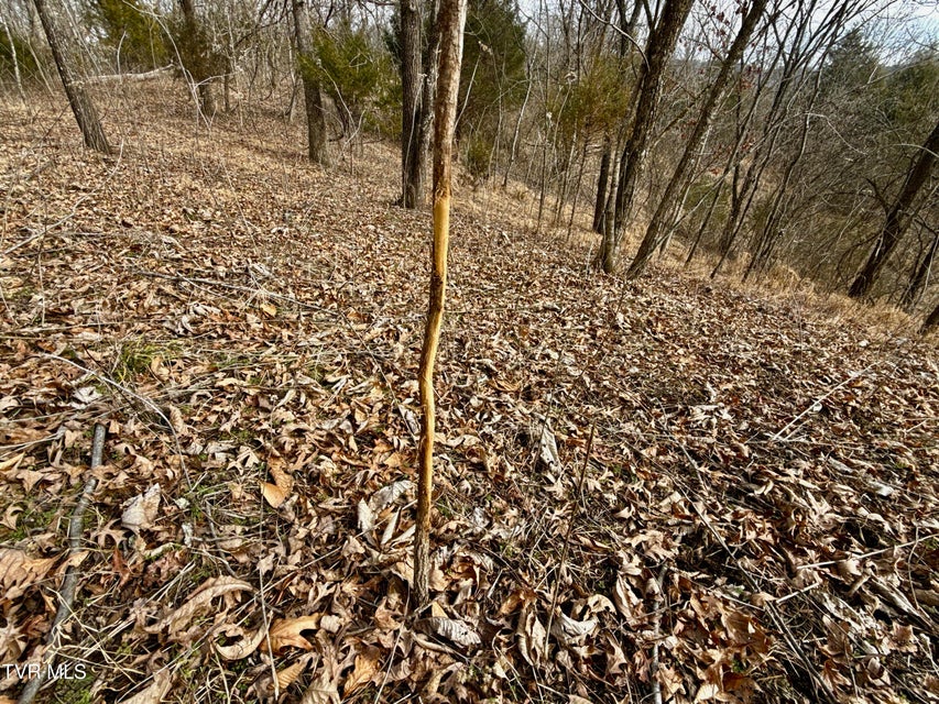 Photo #12: 25/Ac Tbd Horton Highway