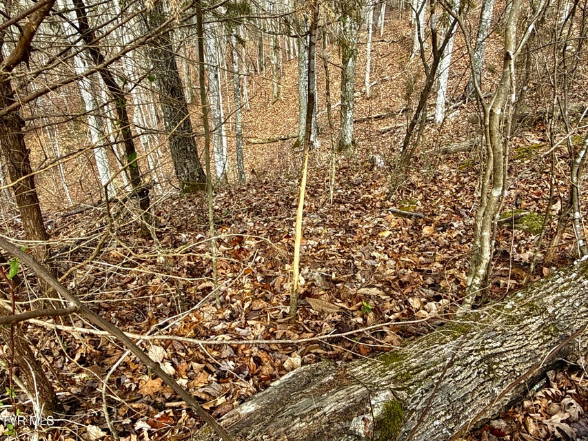 Photo #13: 25/Ac Tbd Horton Highway