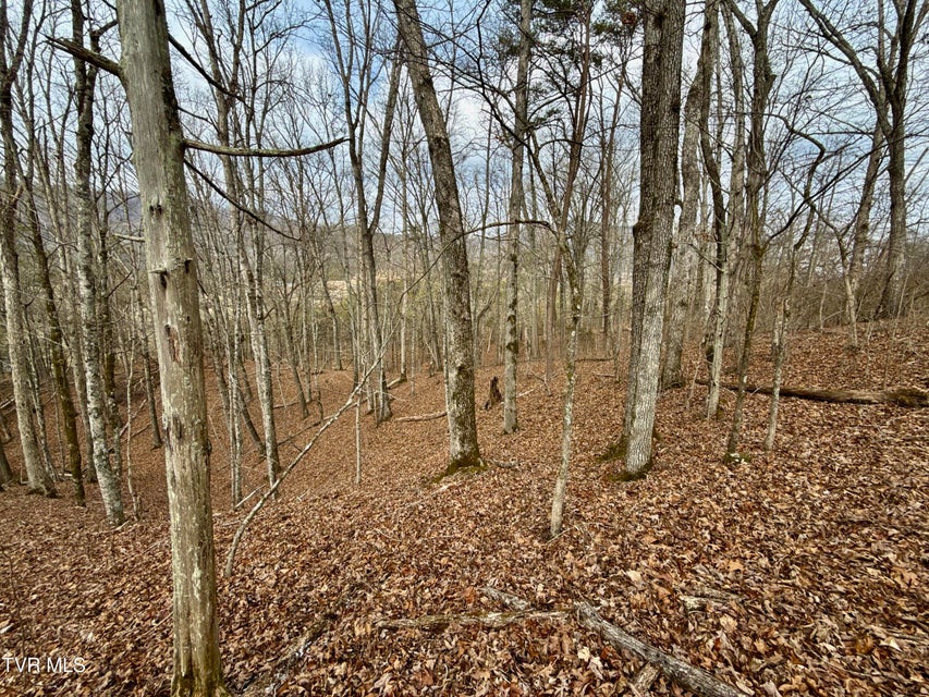Photo #14: 25/Ac Tbd Horton Highway