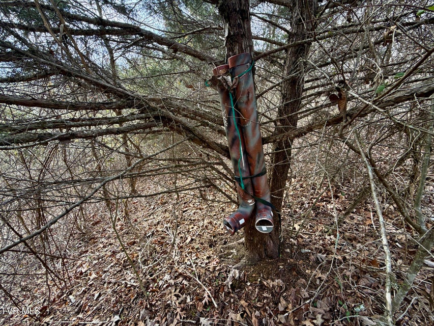 Photo #16: 25/Ac Tbd Horton Highway