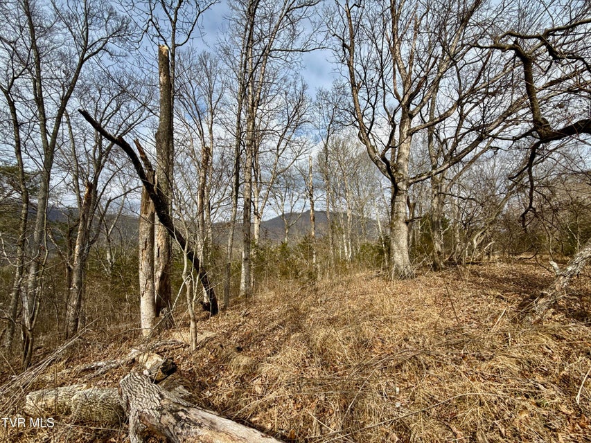 Photo #17: 25/Ac Tbd Horton Highway