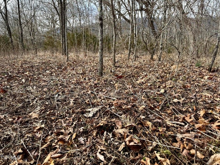 Photo #22: 25/Ac Tbd Horton Highway