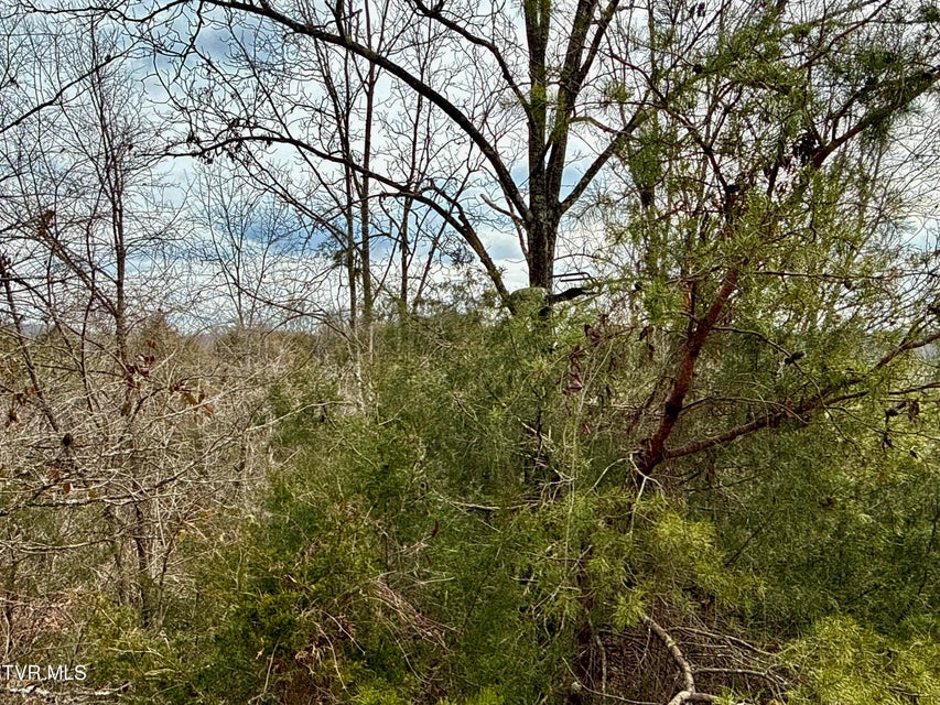 Photo #25: 25/Ac Tbd Horton Highway