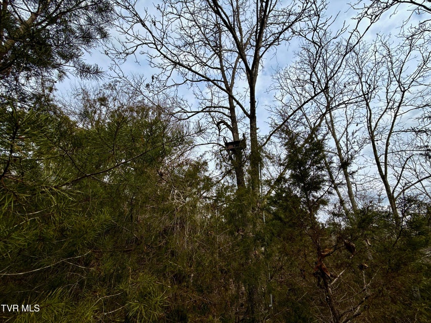 Photo #26: 25/Ac Tbd Horton Highway