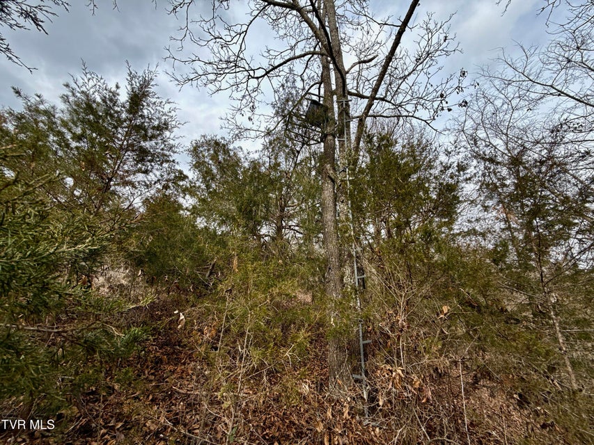 Photo #27: 25/Ac Tbd Horton Highway