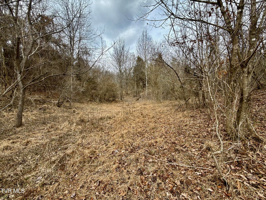 Photo #30: 25/Ac Tbd Horton Highway