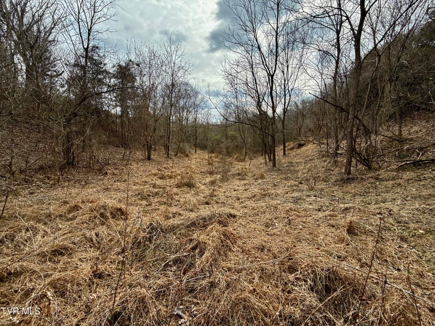 Photo #31: 25/Ac Tbd Horton Highway