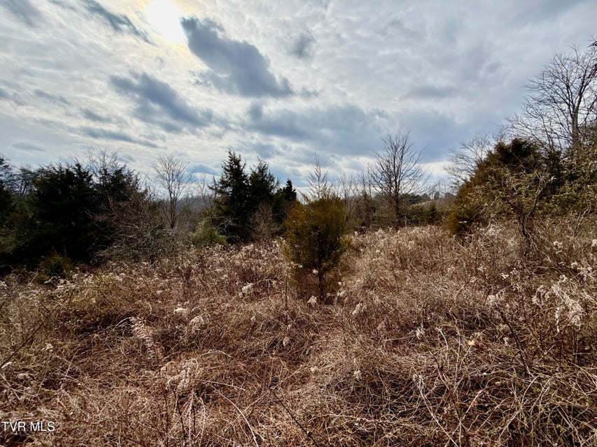 Photo #32: 25/Ac Tbd Horton Highway