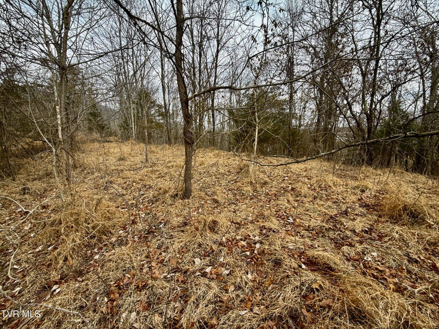 Photo #33: 25/Ac Tbd Horton Highway