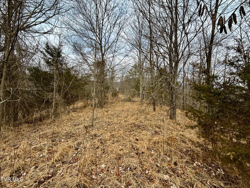 Photo #34: 25/Ac Tbd Horton Highway