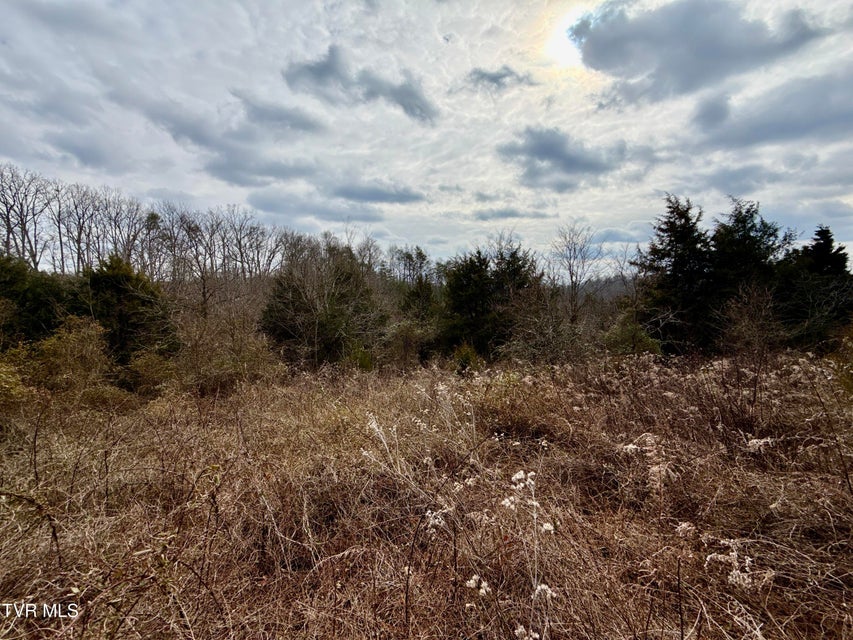 Photo #36: 25/Ac Tbd Horton Highway