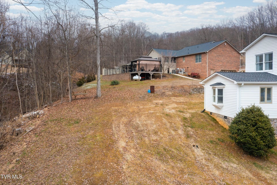 Photo #66: 744 Stuffle Street