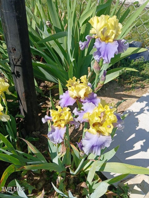 Photo #30: 2706 Shelby Street