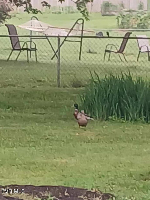 Photo #31: 2706 Shelby Street