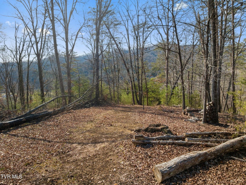 Photo #11: 336 Cloud Creek Road