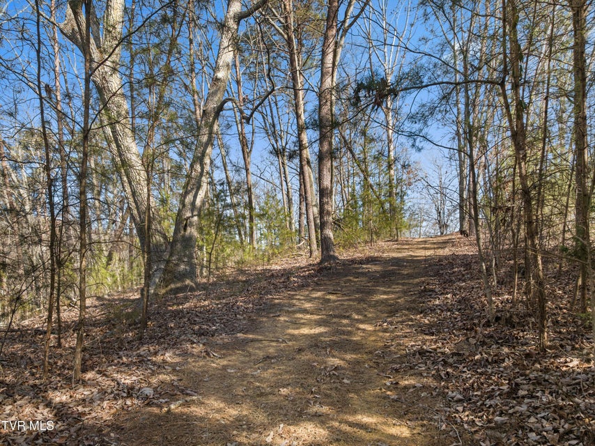 Photo #45: 336 Cloud Creek Road