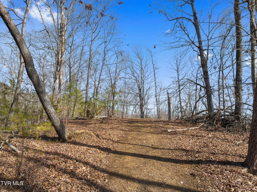 Photo #46: 336 Cloud Creek Road