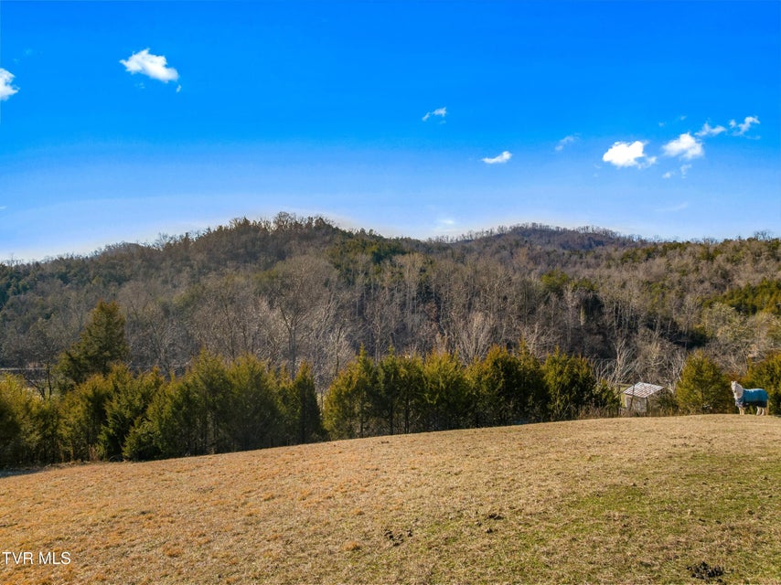 Photo #9: 336 Cloud Creek Road