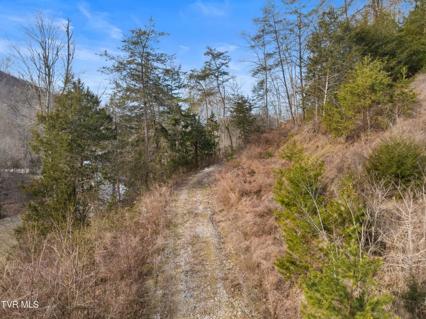 Photo #8: 260 Shepard Lane