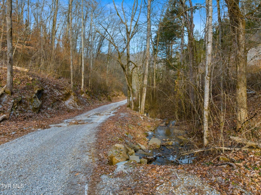 Photo #24: 260 Shepard Lane