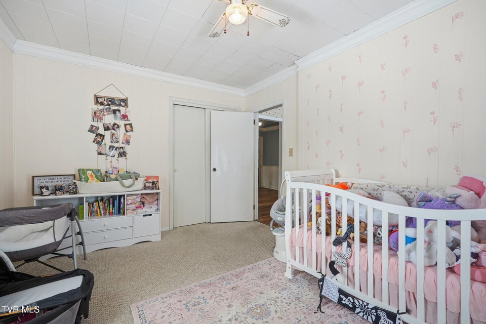 Photo #15: 221 Charleston Street