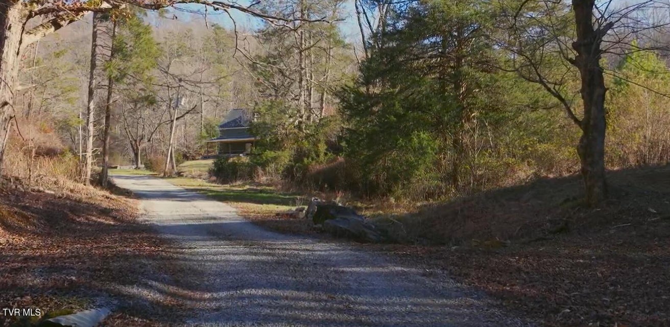 Photo #60: 260 Shepard Lane