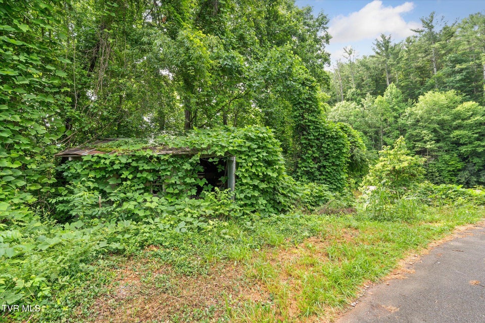 Photo #37: 102 Tolley Lane