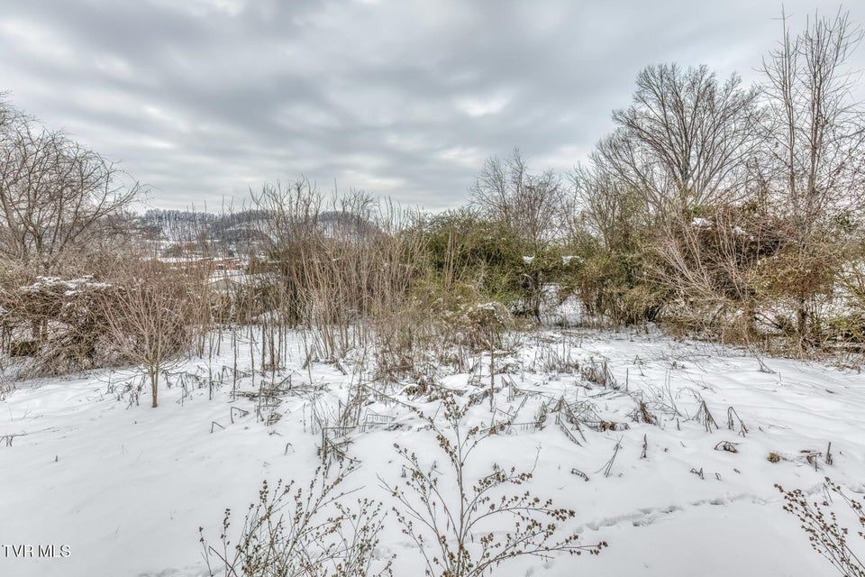 Photo #21: 1305 Saint Louis Street