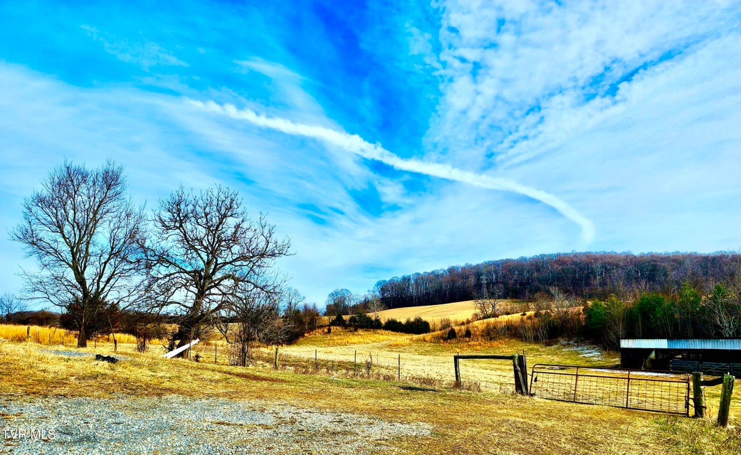 Photo #35: 626 Conklin Road