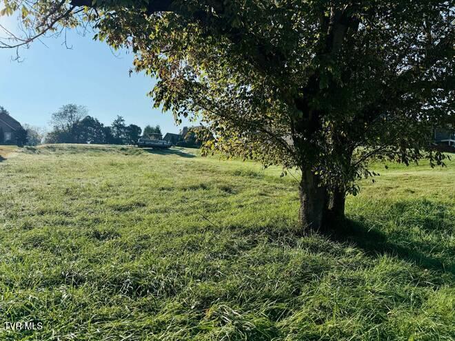 Photo #5: 164 Forest Lane