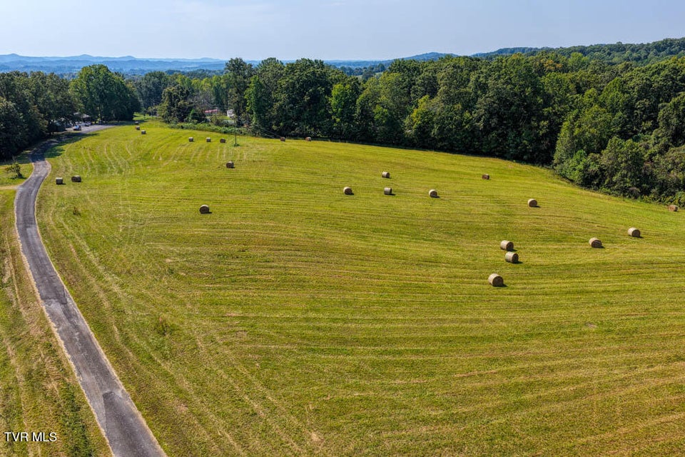 Photo #37: Lot 7 Magnolia Road 