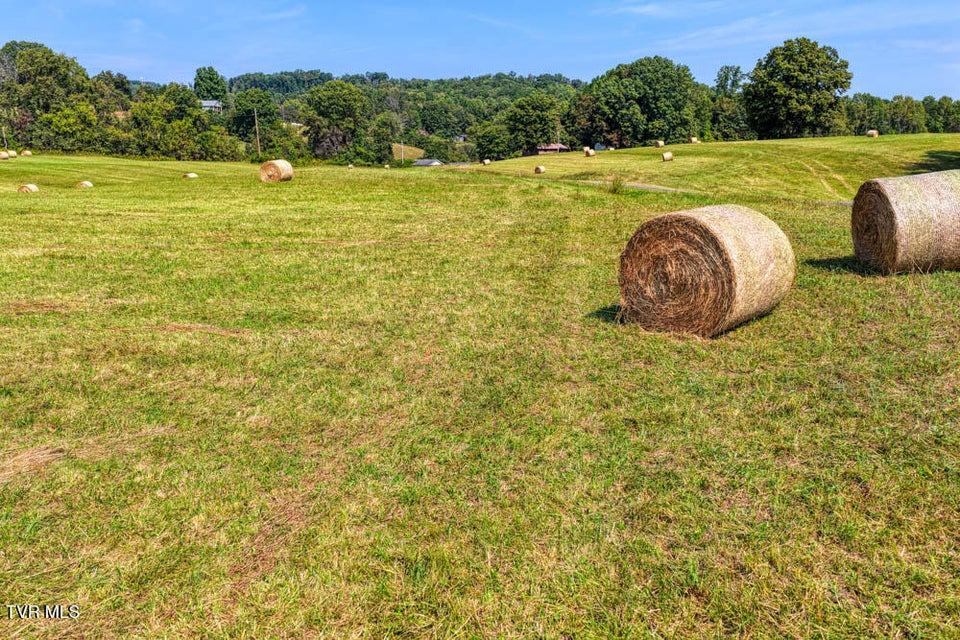 Photo #26: Lot 10 Magnolia Road