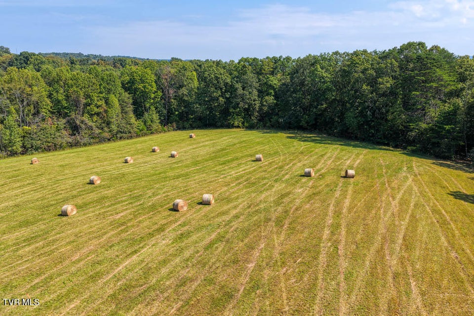 Photo #32: Lot 10 Magnolia Road