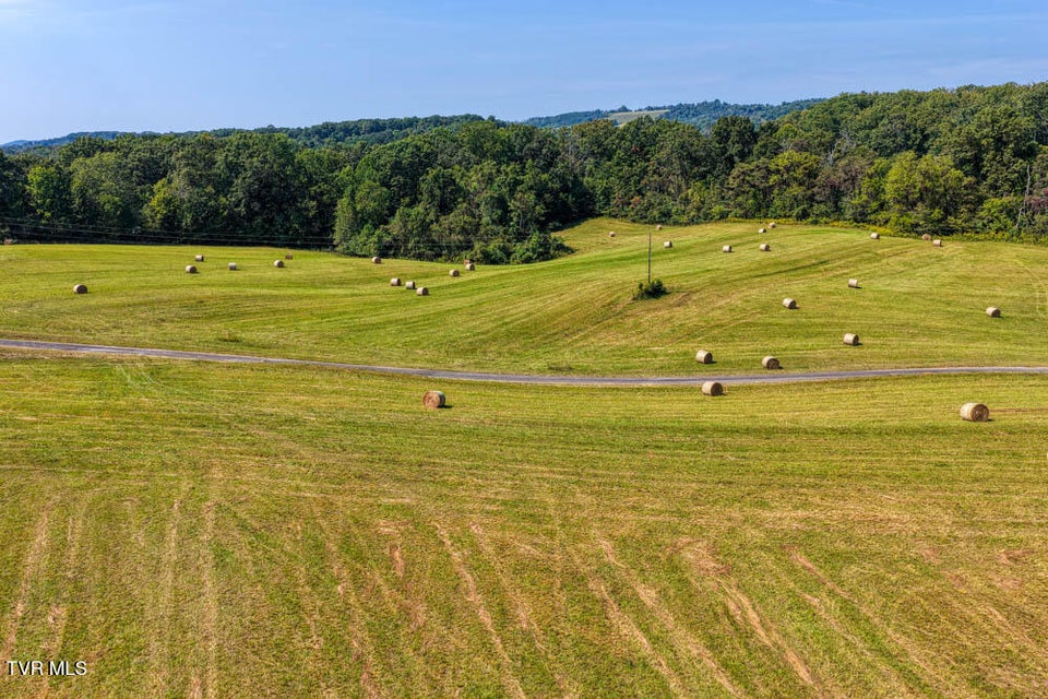 Photo #33: Lot 14 Magnolia Road