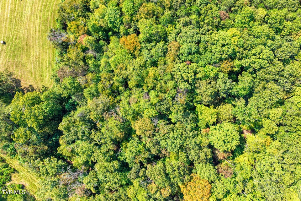 Photo #43: Lot 14 Magnolia Road