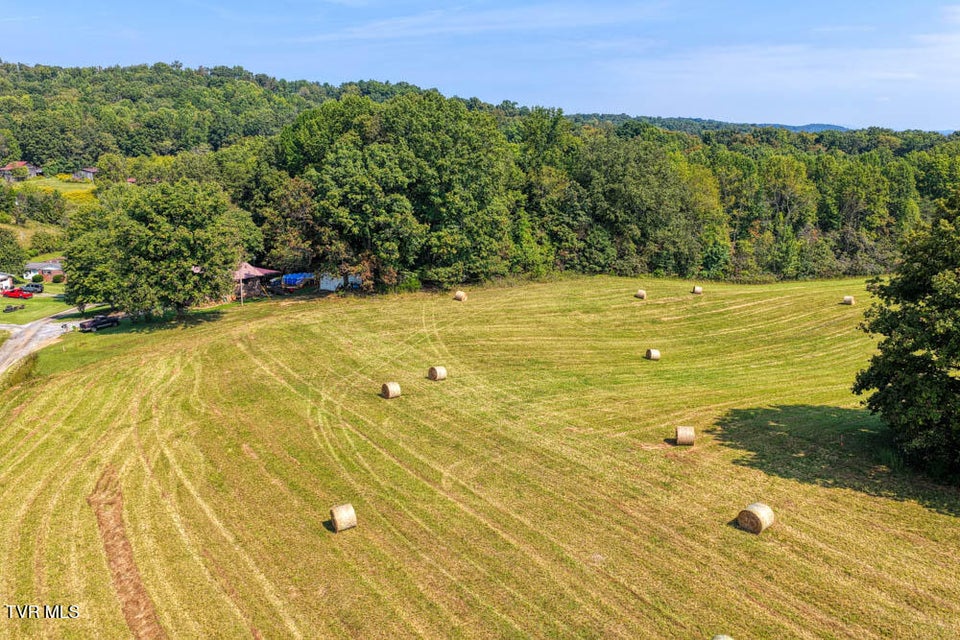 Photo #40: Lot 15 Magnolia Road