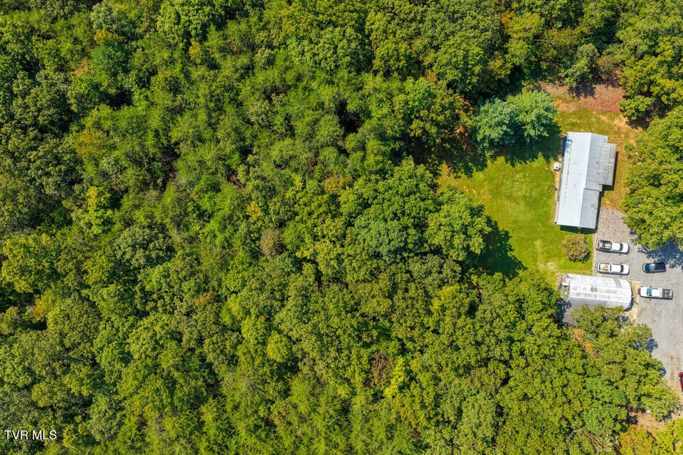 Photo #42: Lot 15 Magnolia Road