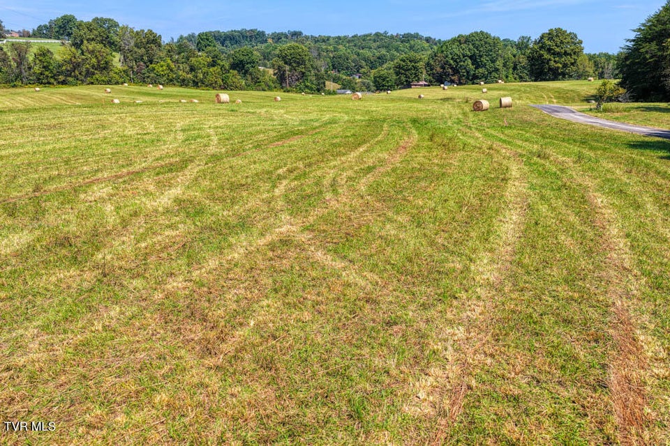 Photo #24: Lot 16 Magnolia Road