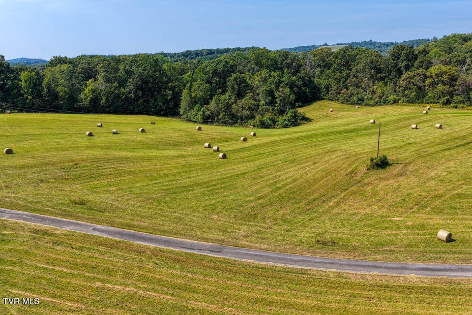 Photo #34: Lot 12 Magnolia Road