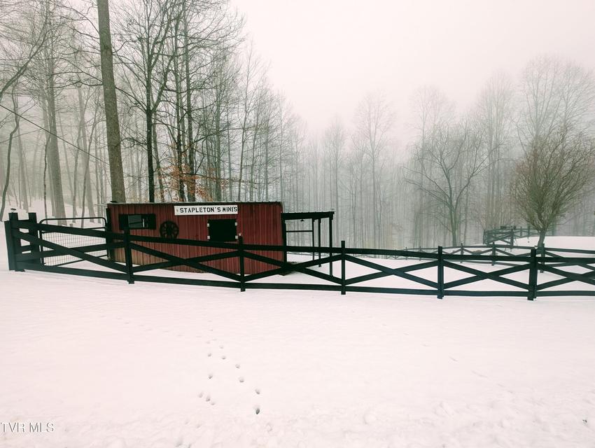 Photo #7: 4887 The Lake Road