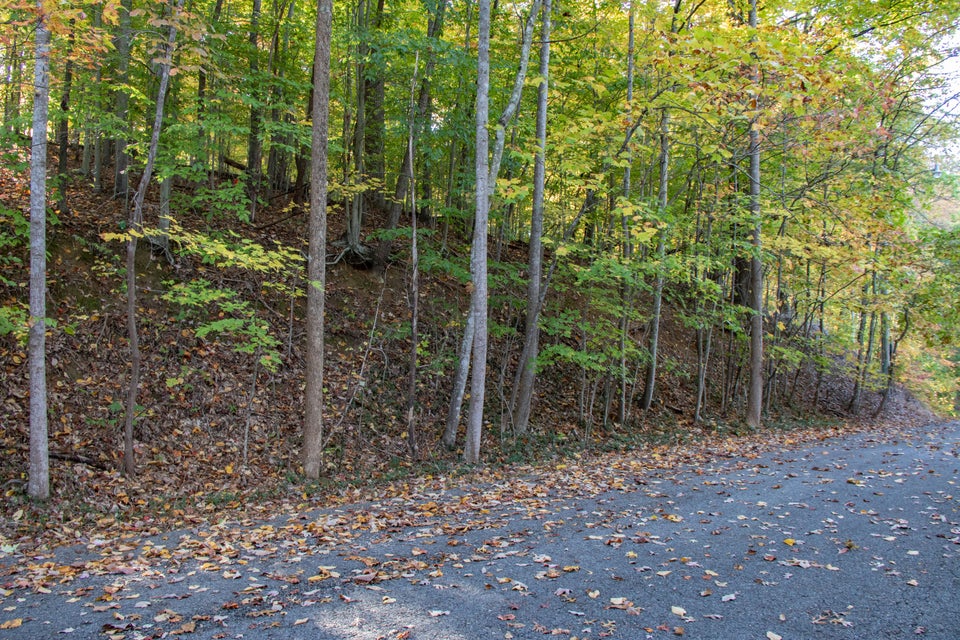 Photo #5: Lot 13 Skyline Drive