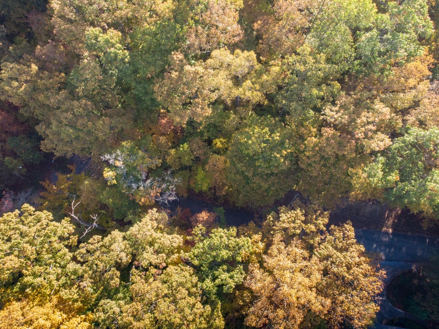 Photo #6: Lot 13 Skyline Drive