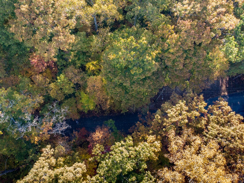 Photo #8: Lot 13 Skyline Drive