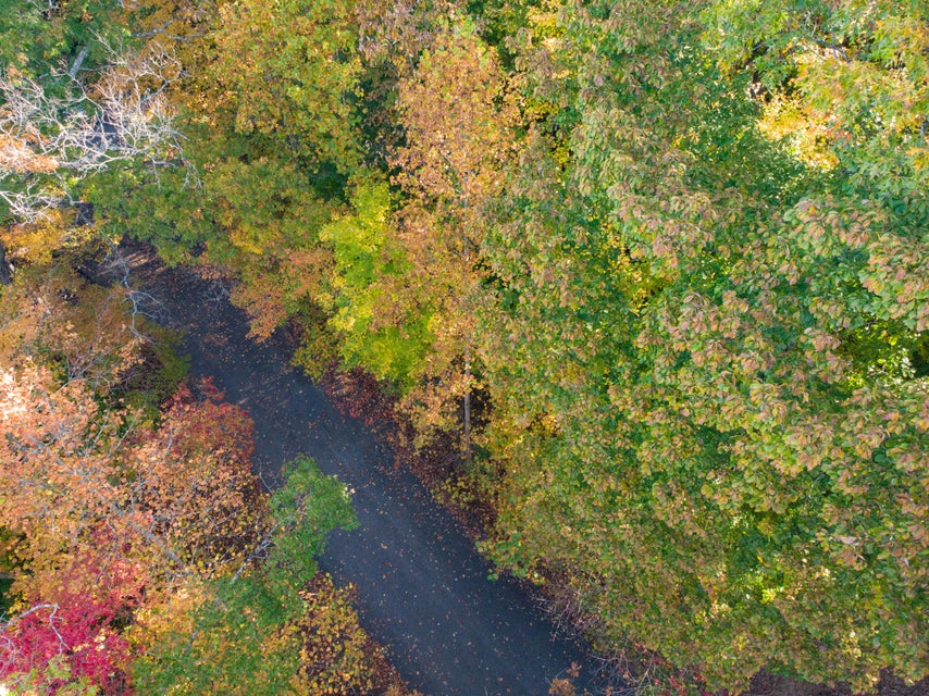 Photo #3: Lot 13 Skyline Drive