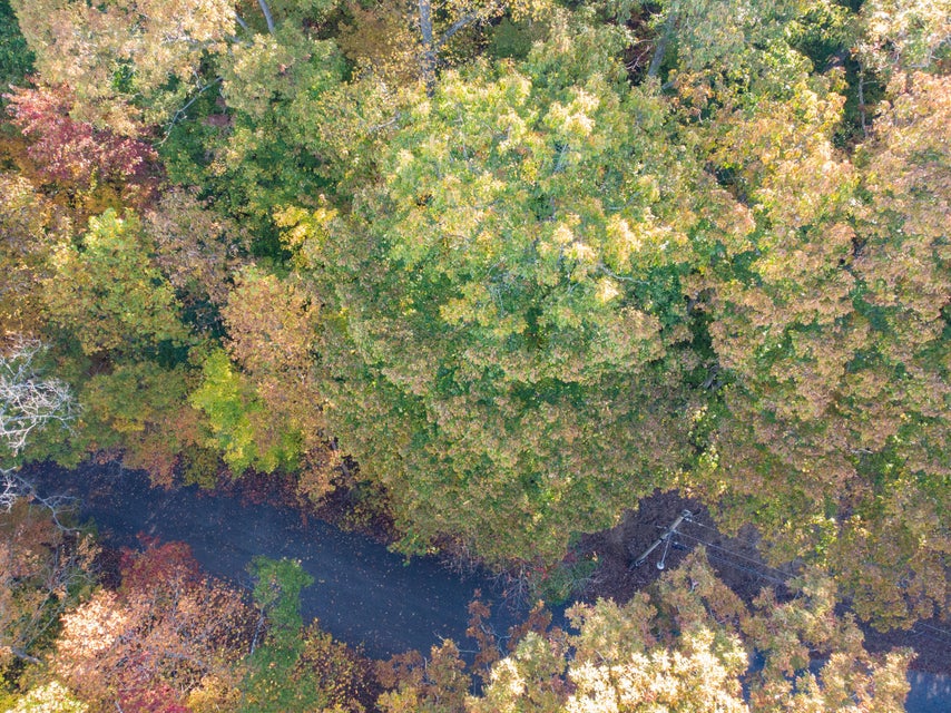 Photo #9: Lot 13 Skyline Drive