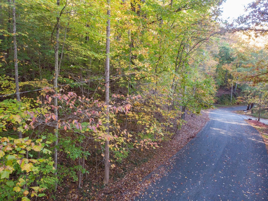 Photo #10: Lot 13 Skyline Drive