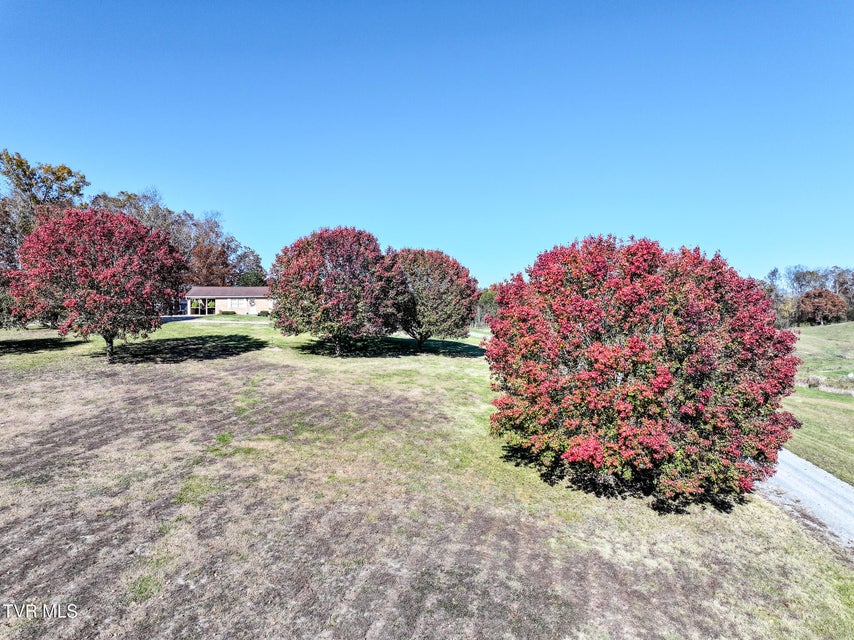 Photo #39: 4522 Blue Springs Parkway 