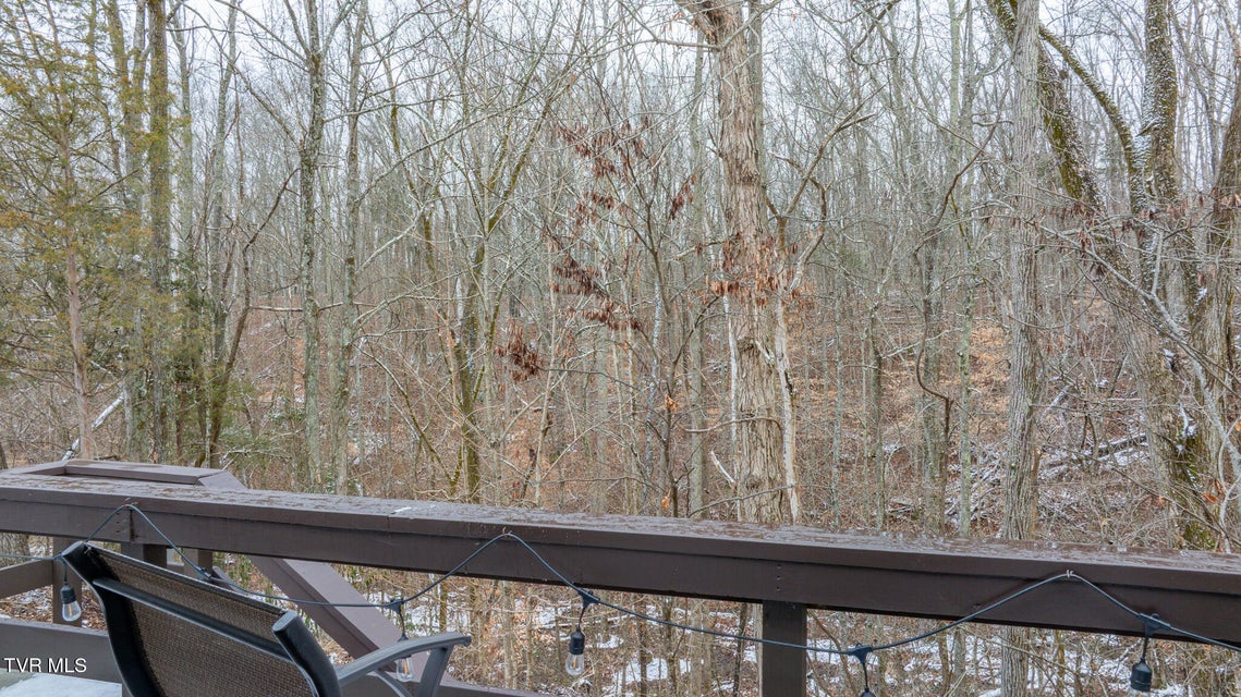 Photo #28: 138 Columbine Road