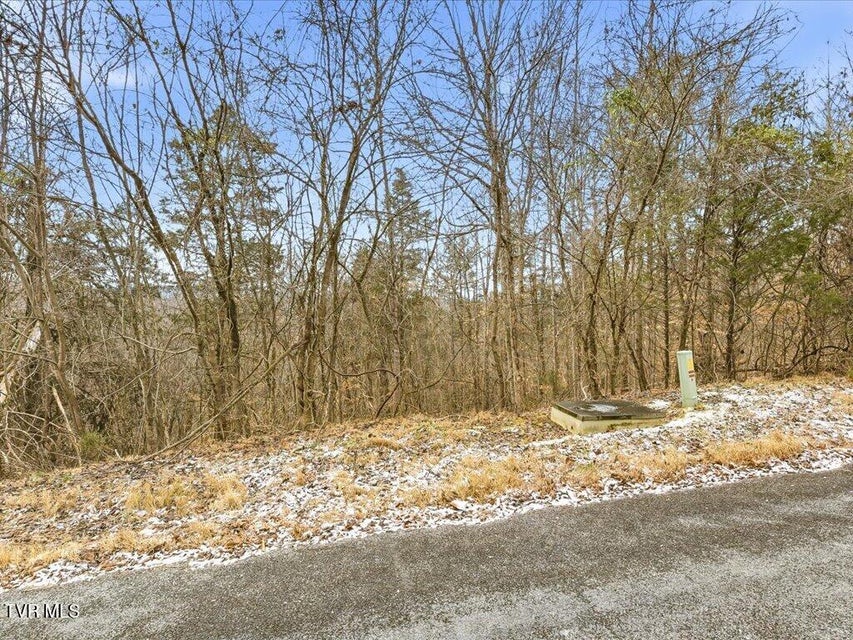 Photo #4: Lot 499 Citron Lane